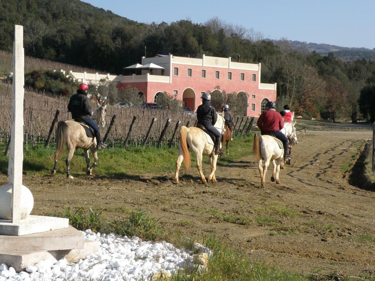 Tenuta Il Sassone - Wine&Food Massa Marittima Εξωτερικό φωτογραφία