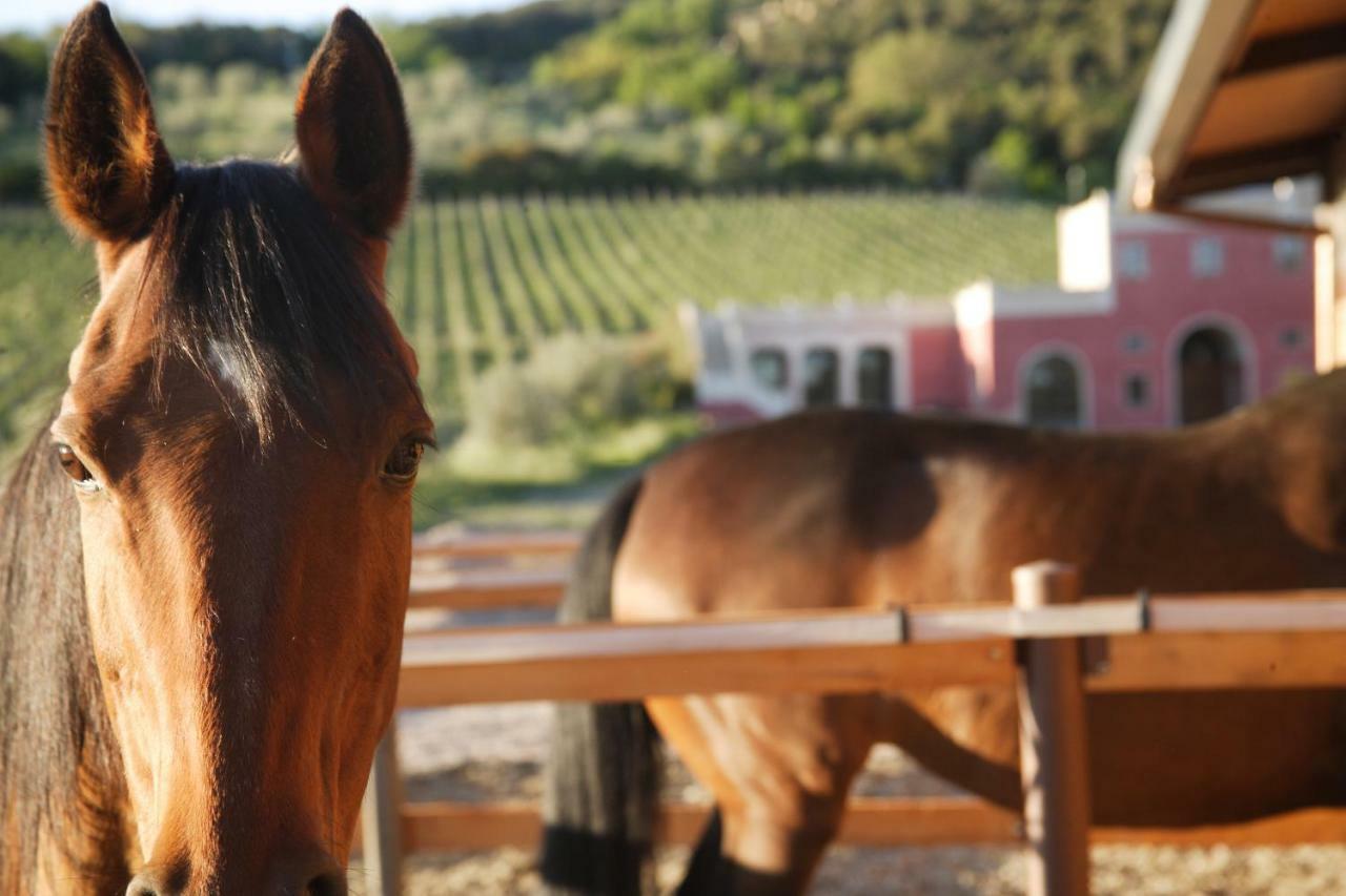 Tenuta Il Sassone - Wine&Food Massa Marittima Εξωτερικό φωτογραφία