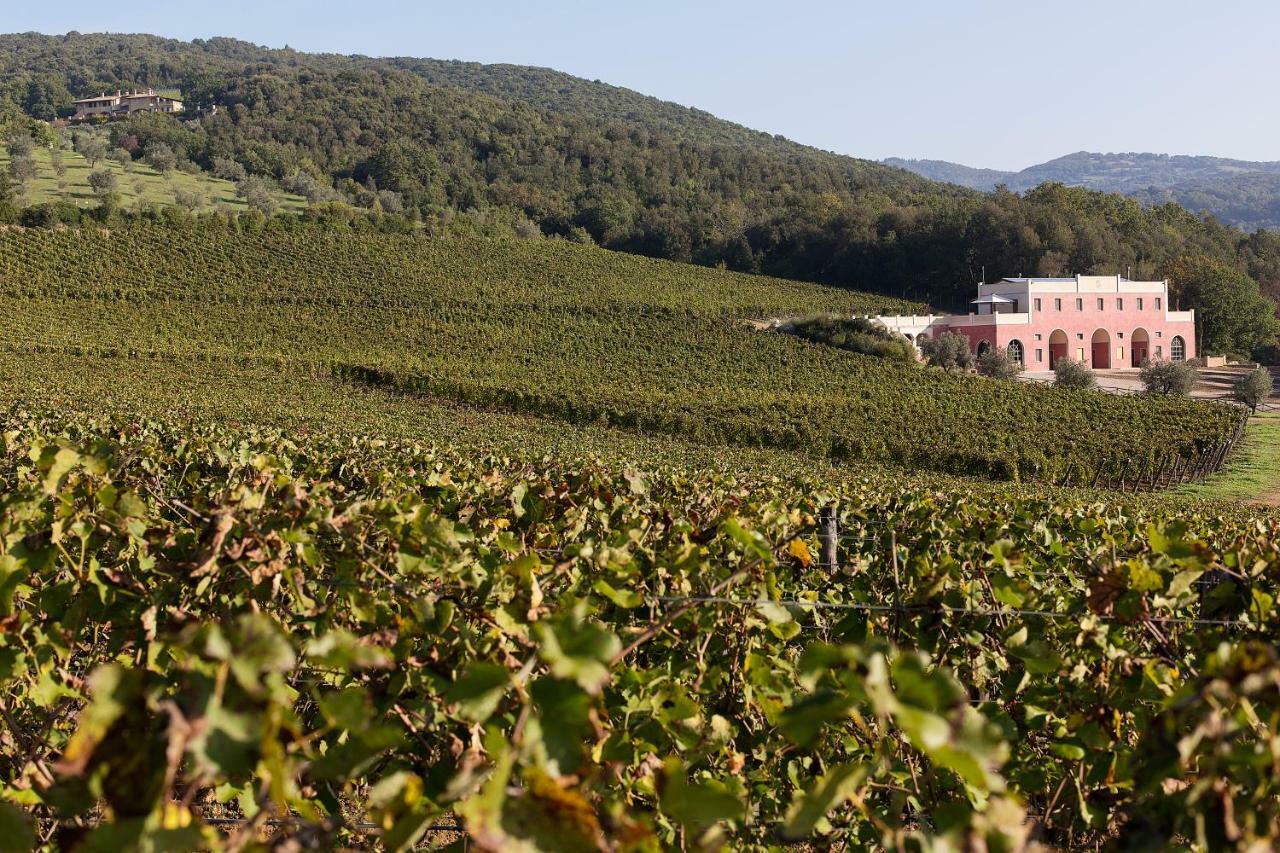 Tenuta Il Sassone - Wine&Food Massa Marittima Εξωτερικό φωτογραφία