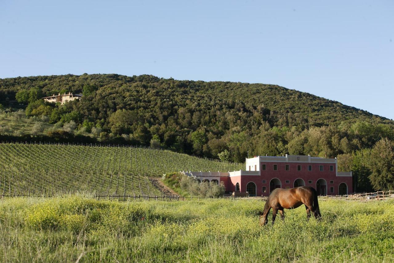 Tenuta Il Sassone - Wine&Food Massa Marittima Εξωτερικό φωτογραφία